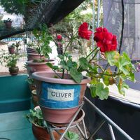 2017-03 Spendenprojekt11